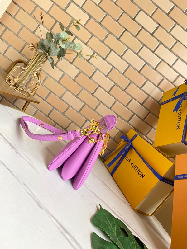 ルイヴィトンバッグ背面デザイン